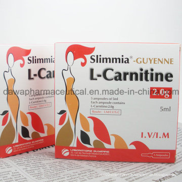 Stock prêt pour l&#39;injection de graisse L-Carnitine Injection